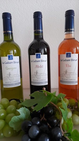 Vins de Pays Charentais | Le Clos de la Groie